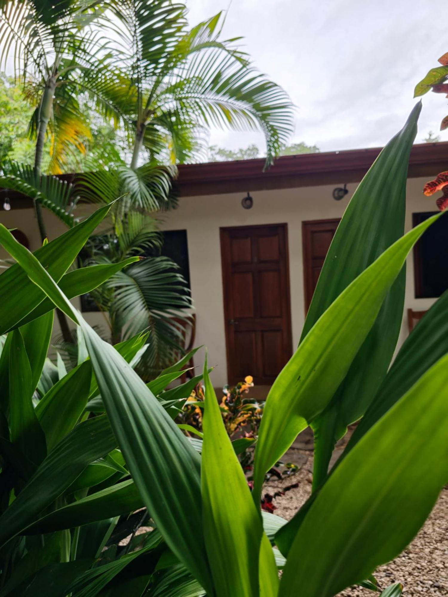 Buddha Retreat Hotel San Juanillo Esterno foto