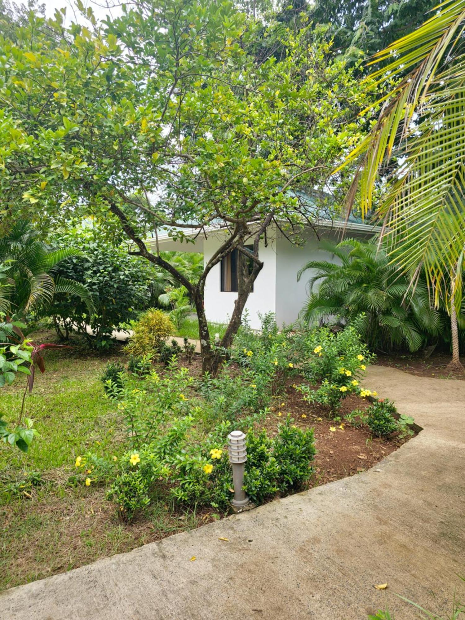Buddha Retreat Hotel San Juanillo Esterno foto
